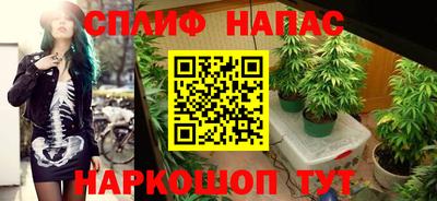 стаф Беслан