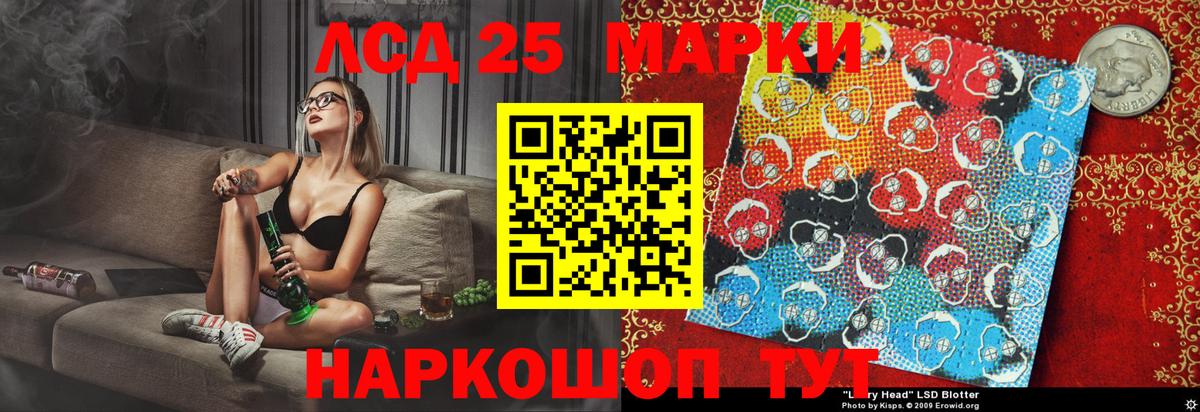 Прохладный  Наркотические марки  Вход с VPN  Марки N-bome 1,5мг  Марки N-bome 1,5мг 