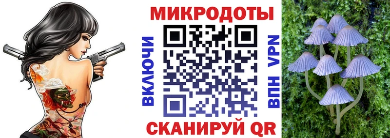 shop клад  как найти наркотики  Прохладный  Псилоцибиновые грибы Cubensis 