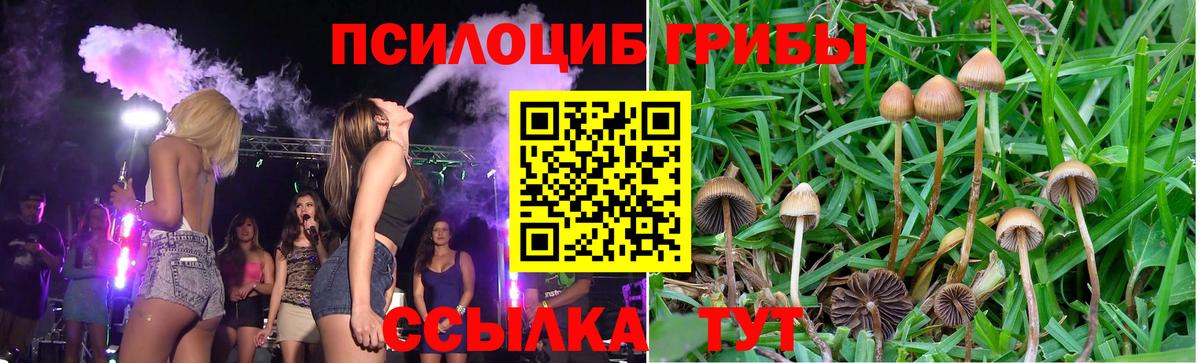 Псилоцибиновые грибы мухоморы Прохладный