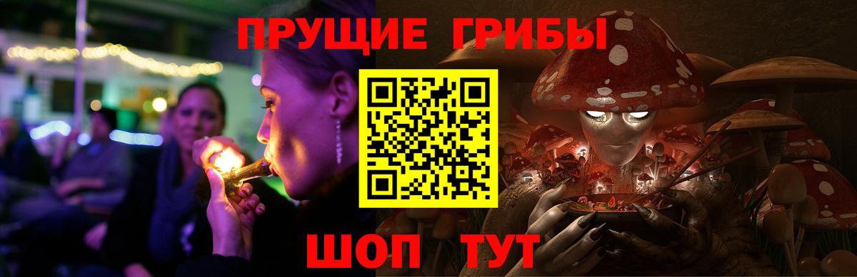 Прохладный  Псилоцибиновые грибы ЛСД  Галлюциногенные грибы Magic Shrooms  Вход с VPN 