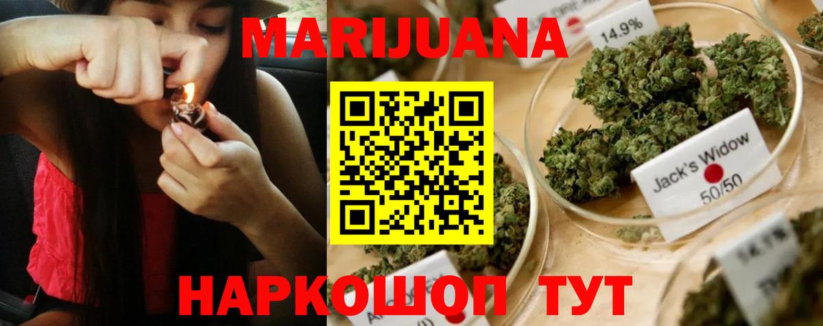Конопля марихуана Прохладный